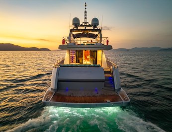 Hummingbird photo 46