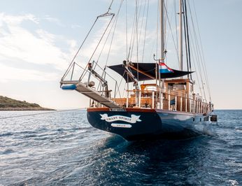 Smart Spirit 1 photo 5