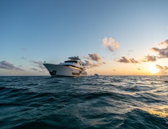 Island Cowboy photo 35