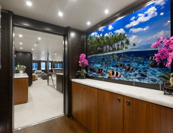 Limited Risks photo 11