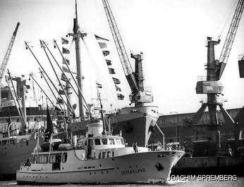 Red Sea Magic photo 4