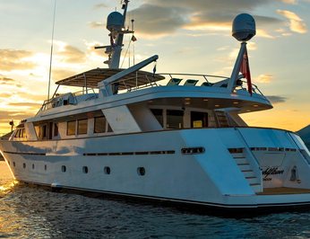 Nightflower photo 52