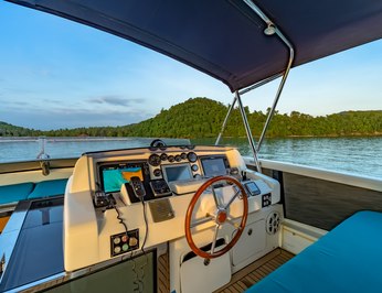 Hummingbird photo 64