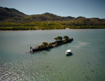 Flying Fish photo 15