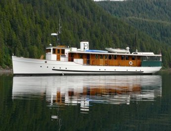Discovery photo 15