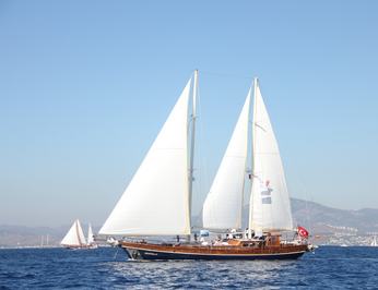 Zephyria II photo 17