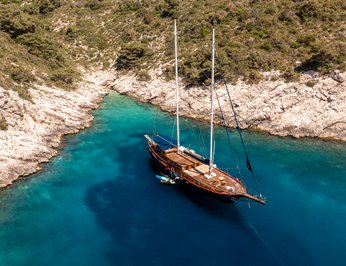 Smart Spirit 1 photo 20