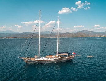 Nautilus photo 17