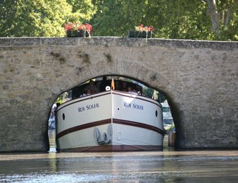Roi Soleil photo 14