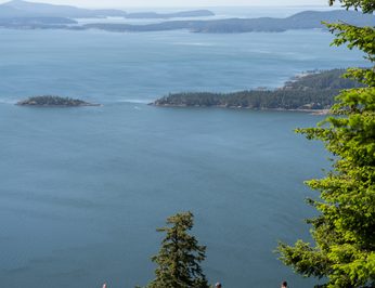 Pacific Yellowfin photo 70