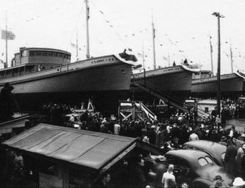 Pacific Yellowfin photo 41