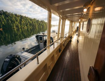 Pacific Yellowfin photo 32