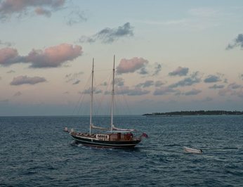 Dream Voyager photo 15