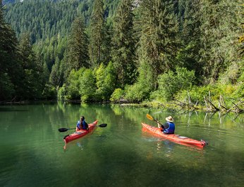 Pacific Yellowfin photo 69