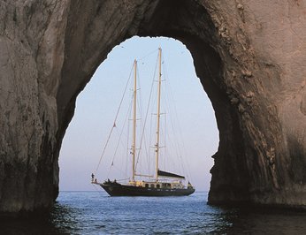 Gacela photo 35