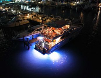 Own the Night photo 17