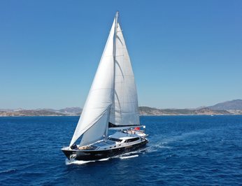 Canaria photo 35