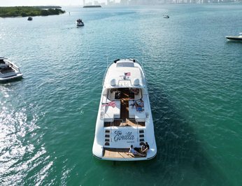 The Gorilla photo 20