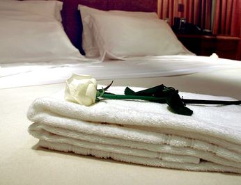 Guest Stateroom - Rose