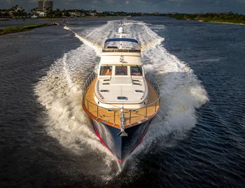 Falcon photo 5