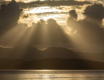 Pacific Yellowfin photo 76