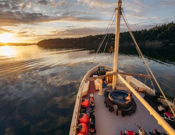 Pacific Yellowfin photo 34