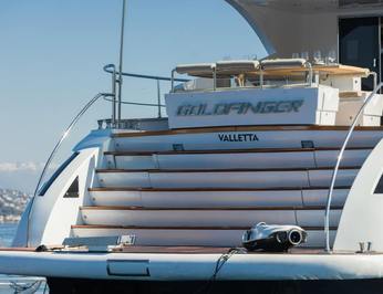 Goldfinger photo 15