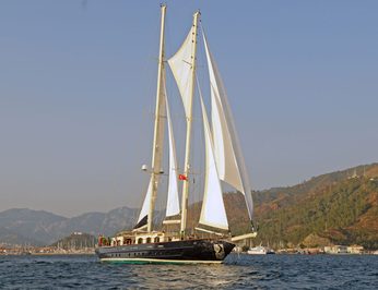 Gacela photo 34