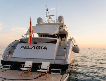 Pelagia photo 4