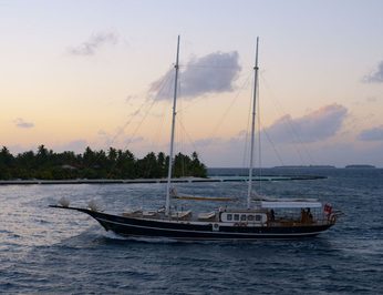 Dream Voyager photo 16