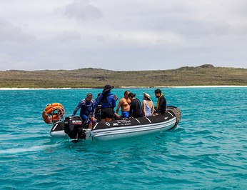 Galapagos Angel photo 34