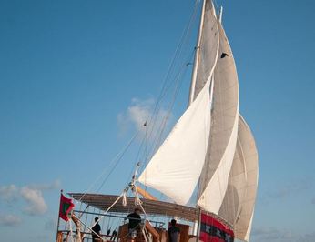 Dream Voyager photo 14