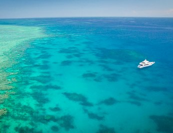 Flying Fish photo 74