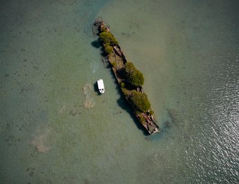 Flying Fish photo 14