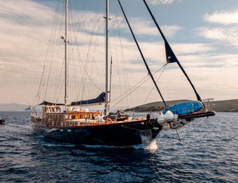 Smart Spirit 1 photo 10