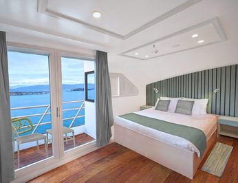 Galapagos Sea Star photo 21