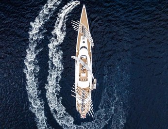 Black Pearl photo 111