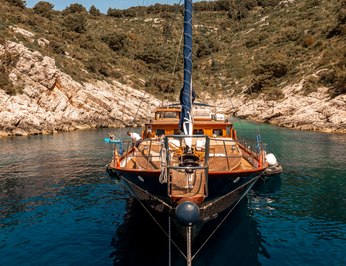 Smart Spirit 1 photo 23