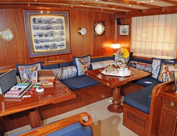 Gacela photo 47