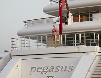 Pegasus VIII photo 56