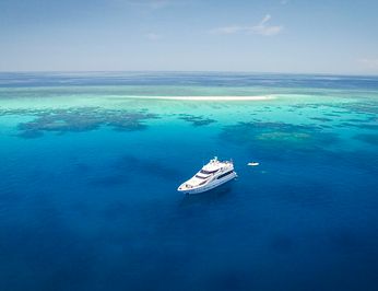 Flying Fish photo 70