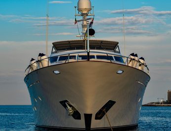 Nightflower photo 53