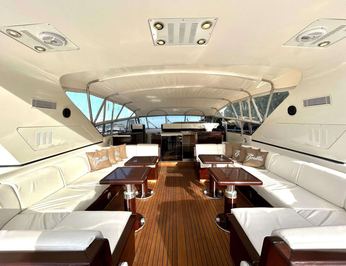 The Gorilla photo 15