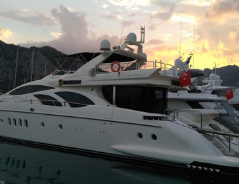 King Shadow photo 28