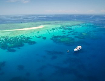 Flying Fish photo 69