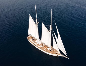 Mutiara Laut photo 5