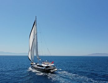 Canaria photo 40