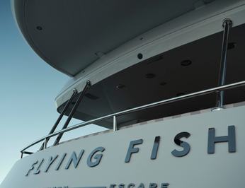 Flying Fish photo 80