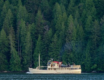 Pacific Yellowfin photo 77