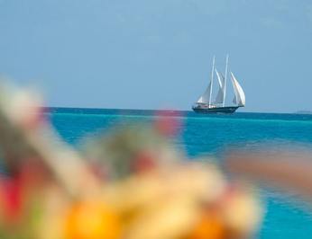 Dream Voyager photo 20